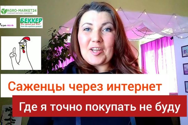 Ссылка на kraken в торе официальная ссылка