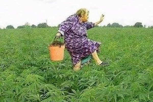Как зайти на кракен браузеры