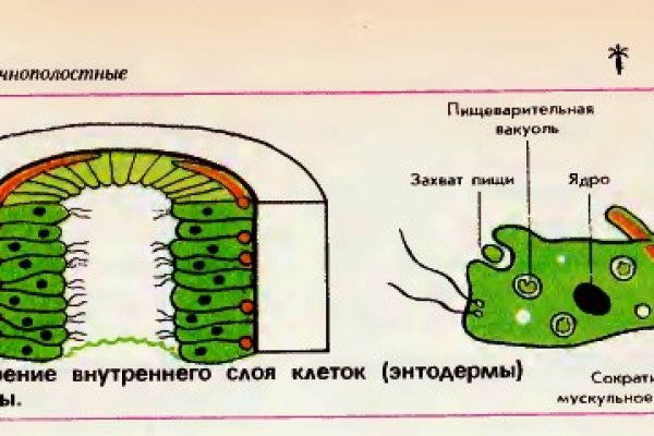 Kraken ссылка krakens13 at