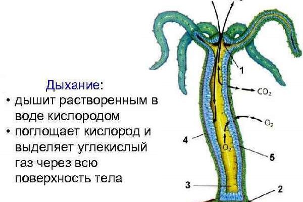 Кракен наркота что это