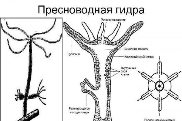 Дарк маркетплейс кракен